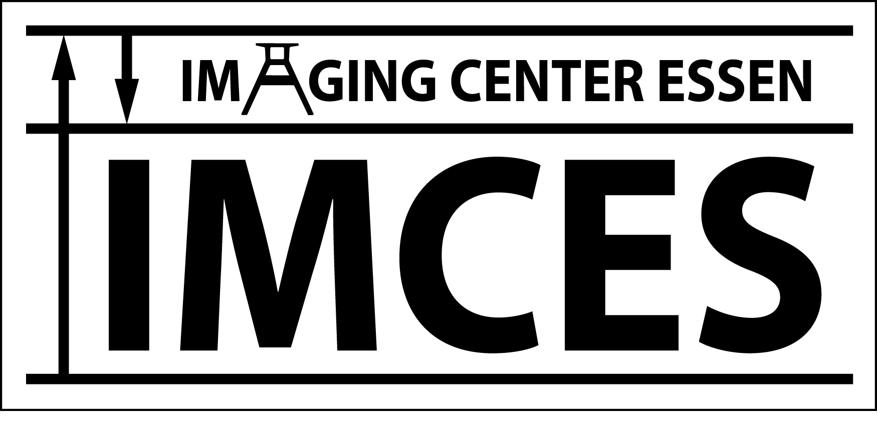 IMCES Logo